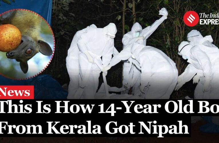 Tragic Loss in Kerala: 14-Year-Old Boy Succumbs to Nipah Virus.