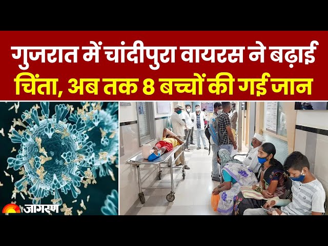 Gujarat Chandipura Virus